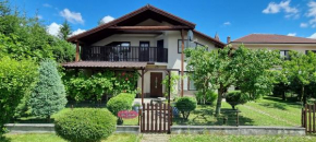 Vila Danka